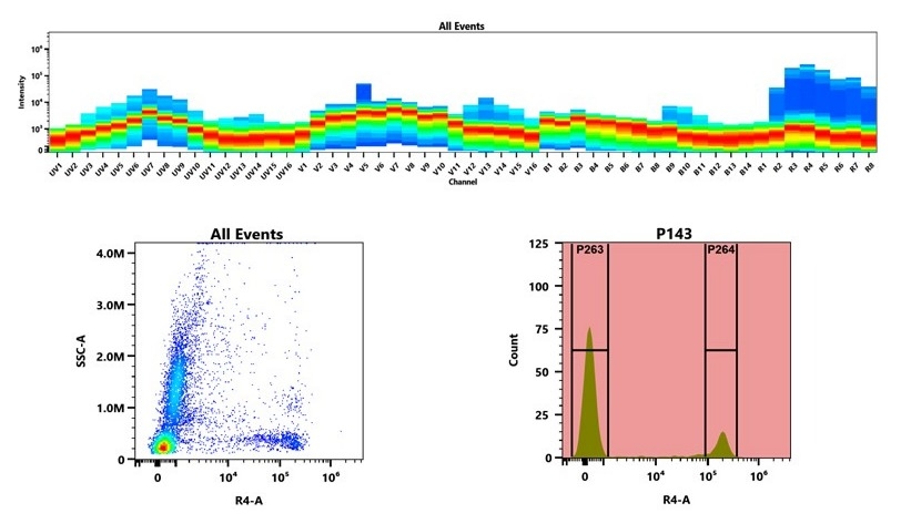 (Top) Spectral emission profiles generated using four spatially offset lasers (355 nm, 405 nm, 488 nm, and 640 nm). Each laser produced a distinct emission pattern, and their combination yielded the composite spectral signature. (Bottom) Flow cytometry analysis of whole blood stained with XFD700 Anti-human CD8 Antibody *HIT8a. The fluorescence signal was monitored using an Aurora spectral flow cytometer in the specific R4-A channel.