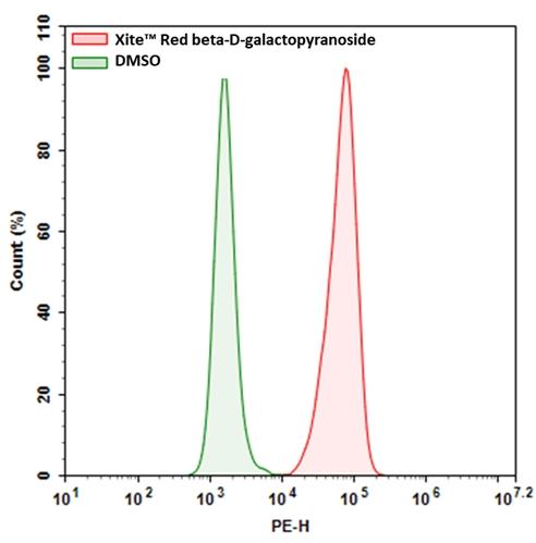 Expression of &beta;-gal was measured with Xite&trade; Red beta-D-galactopyranoside. 9L-LacZ cells (cells that overexpressed &beta;-gal) were incubated with Xite&trade; Red beta-D-galactopyranoside for 30 mins at 37 &deg;C. The signal was acquired with PE channel using a NovoCyte Flow Cytometer (ACEA Biosciences).
