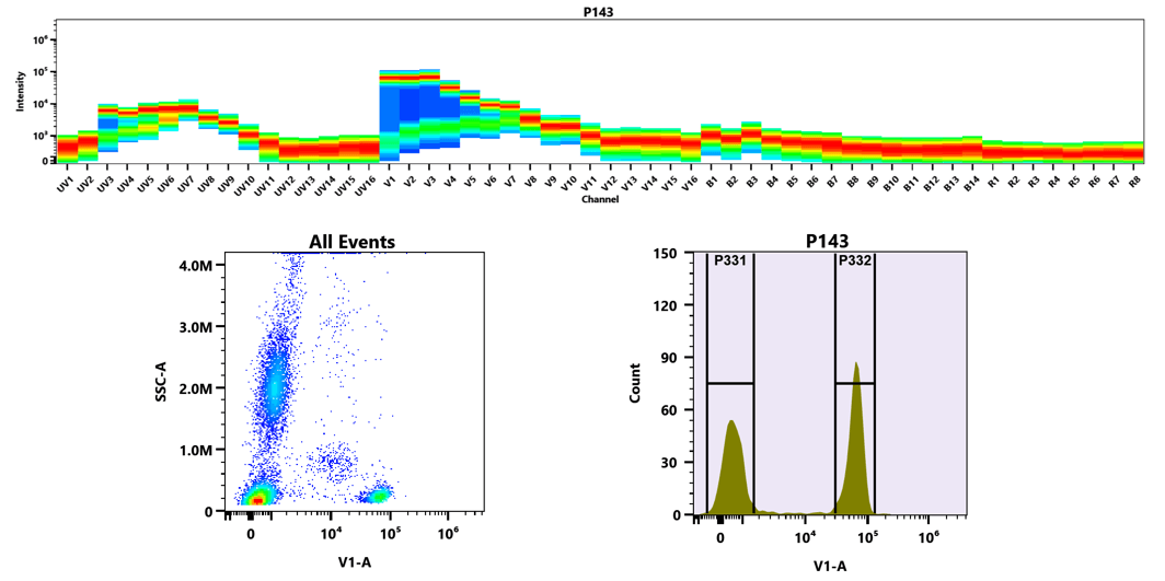 (Top) Spectral emission profiles generated using four spatially offset lasers (355 nm, 405 nm, 488 nm, and 640 nm). Each laser produced a distinct emission pattern, and their combination yielded the composite spectral signature.
(Bottom) Flow cytometry analysis of whole blood stained with xtraFluor™ Violet 420-labeled Anti-human CD4 Antibody (Clone: RPA-T4) (Cat. #10041000) prepared using xtraFluor™ Violet 420 Amine (Cat. #70806). The fluorescence signal was monitored using Cytek Aurora spectral flow cytometer in the V1-A channel. The antibody was used at 0.5 µg/test.