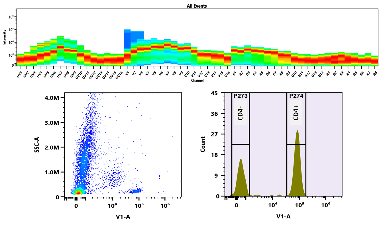 Top) The spectral profile was obtained using a 4-laser spectral flow cytometer equipped with spatially separated excitation sources at 355 nm, 405 nm, 488 nm, and 640 nm. Each laser generated a distinct emission pattern, which was computationally unmixed to produce the composite spectral signature of the fluorophore.
Bottom) Flow cytometric analysis of human whole blood stained with xtraFluor™ Violet 420–conjugated anti-human CD4 antibody (clone RPA-T4, 0.25 µg/test). Fluorescence emission was detected in the V1-A channel using the Aurora spectral flow cytometer.