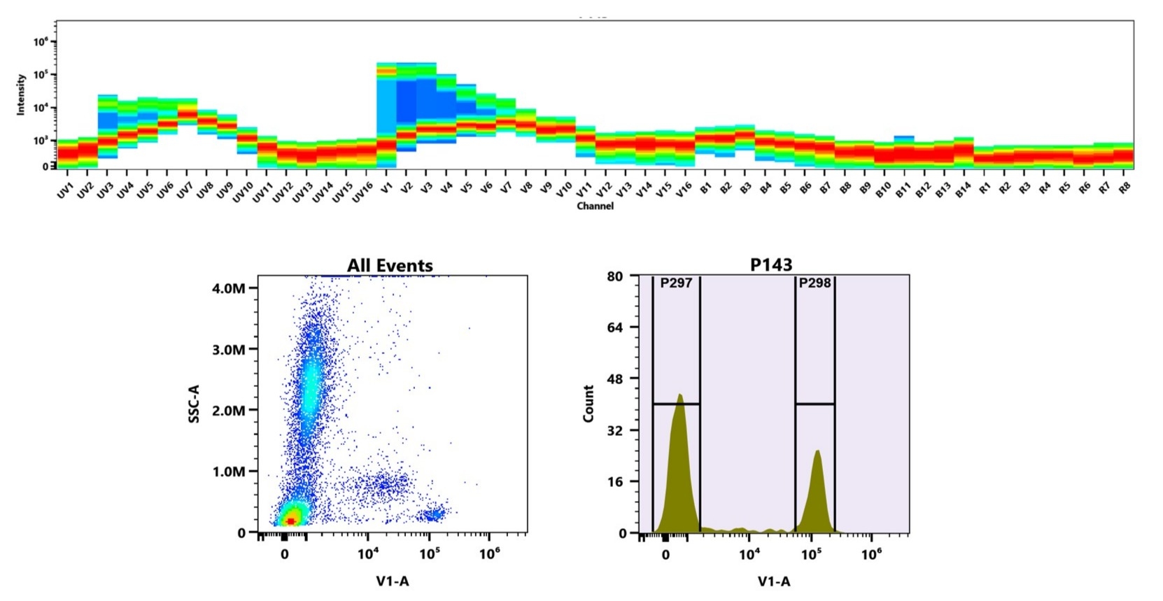 (Top) Spectral emission profiles generated using four spatially offset lasers (355 nm, 405 nm, 488 nm, and 640 nm). Each laser produced a distinct emission pattern, and their combination yielded the composite spectral signature. (Bottom) Flow cytometry analysis of human whole blood stained with CD4 (RPA-T4) antibody (Cat. #10041000) labeled using xtraFluor™ Violet 420 Maleimide (Cat. #70803). The fluorescence signal was monitored on a Cytek Aurora spectral flow cytometer in the V1-A channel, demonstrating clear detection of CD4⁺ lymphocytes.