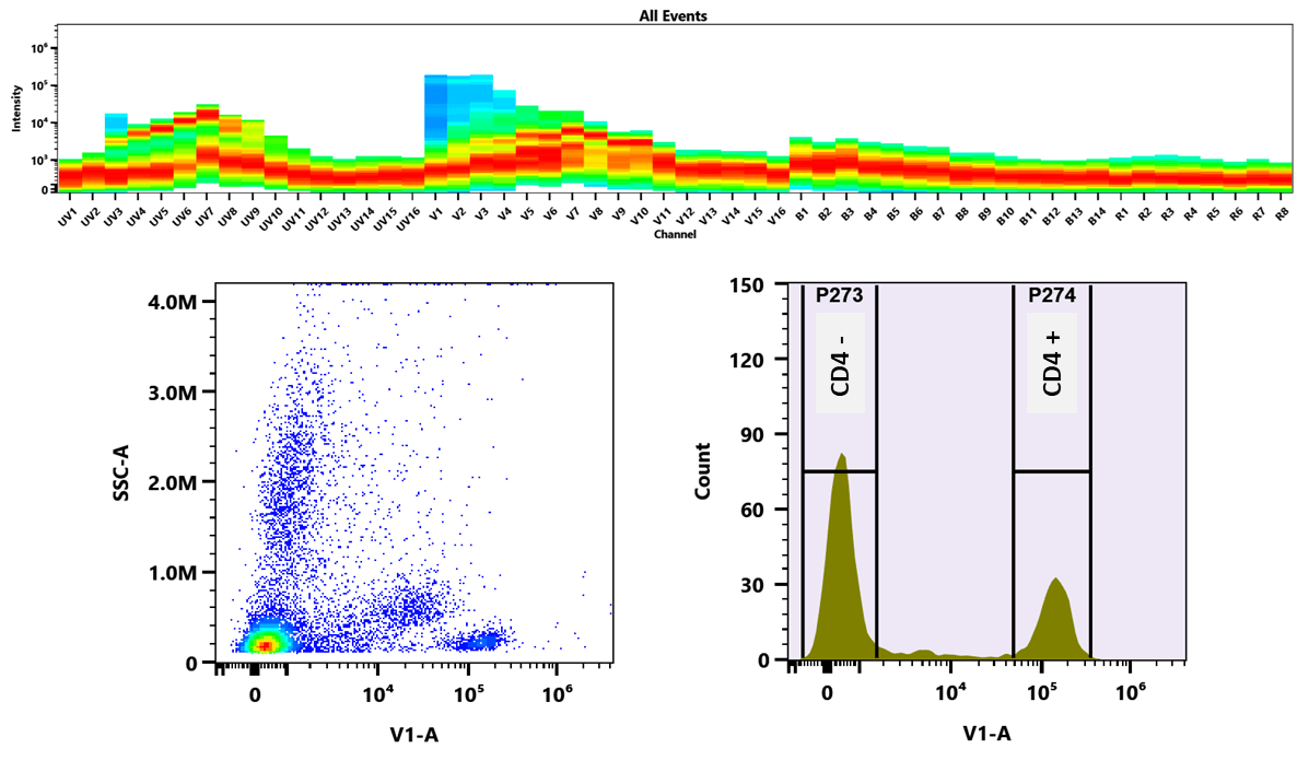 Top)The spectral profile was acquired using a 4-laser spectral flow cytometer equipped with spatially offset excitation sources at 355 nm, 405 nm, 488 nm, and 640 nm. Each laser produced a distinct emission pattern, and the combined emission spectra were used to generate the composite spectral signature.
Bottom) Flow cytometric analysis of human whole blood cells stained with biotinylated anti-CD4 antibody (0.5 µg/test), followed by detection with xtraFluor™ Violet 420-streptavidin (0.25 µg/test). Fluorescence was measured using the V1-A detector channel on the Aurora spectral cytometer.