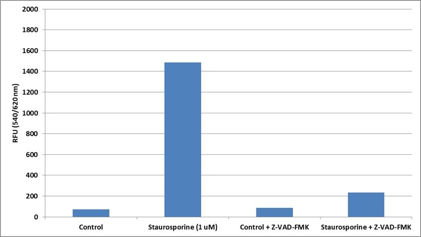 Inhibition of caspase activities in Jurkat cells with pan caspase inhibitor Z-VAD-FMK (Cat.# 13300). Jurkat cells were seeded on the same day at 200,000 cells/90 &micro;L/well in a Costar black wall/clear bottom 96-well plate. The cells were treated with or without 1 &micro;M of staurosporine for 5 hours. The Z-VAD-FMK (50 uM) was added and co-incubated with staurosporine. The caspase-8 activity was detected with Cell Meter&trade; Caspase 8 Activity Apoptosis Assay Kit (Cat.# 22816). The fluorescence intensity was measured at Ex/Em = 540/620 nm (Cutoff = 610 nm) with Flexstation 3 fluorescence microplate reader (Molecular Devices).