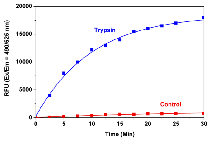 Trypsin protease activity