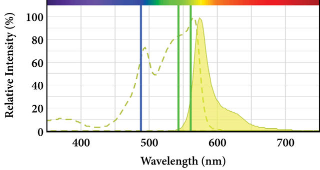 Phycoerythrin spectra