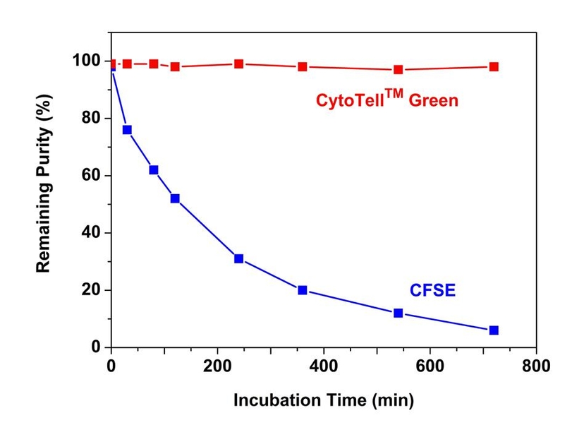 Stability comparison of CytoTell™ Green and CFSE