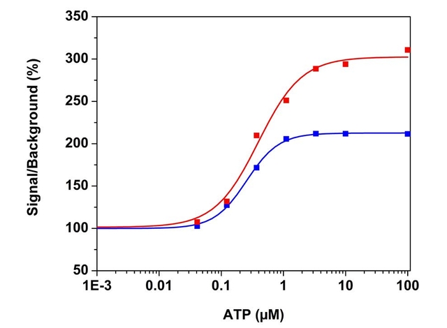 ATP dose response in CHO-K1 cells