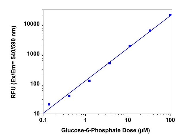 G6P dose responses