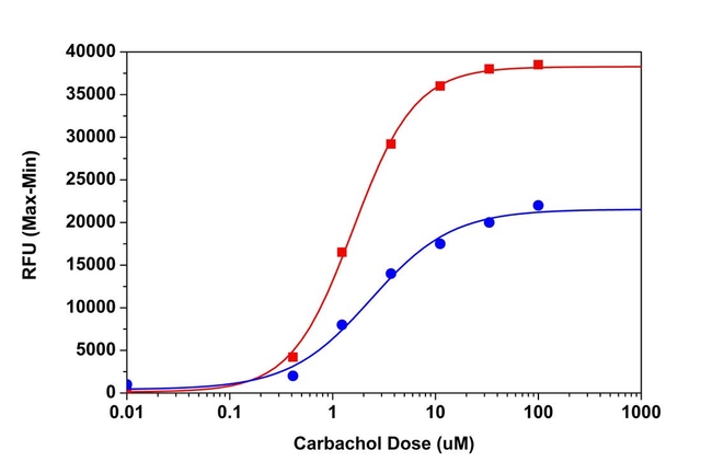 Carbachol dose responses