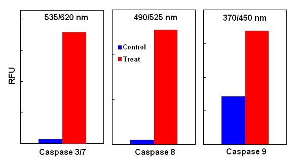 Detection of caspase activities in Jurkat cells.