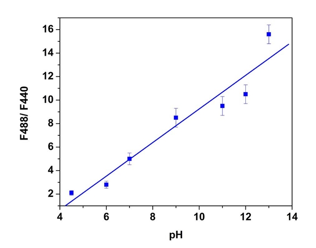fluorescence excitation ratios of BCFL
