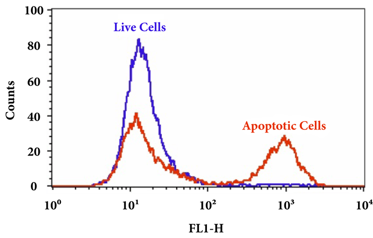 Cell Meter Annexin V Binding Apoptosis Assay