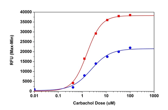 Carbachol dose responses were measured in HEK-293 cells with Fluo-8<sup>®</sup> AM
