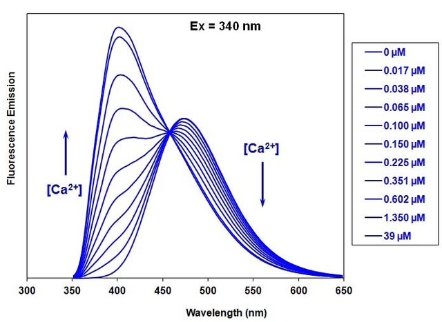 Fluorescence emission spectra of Indo-1