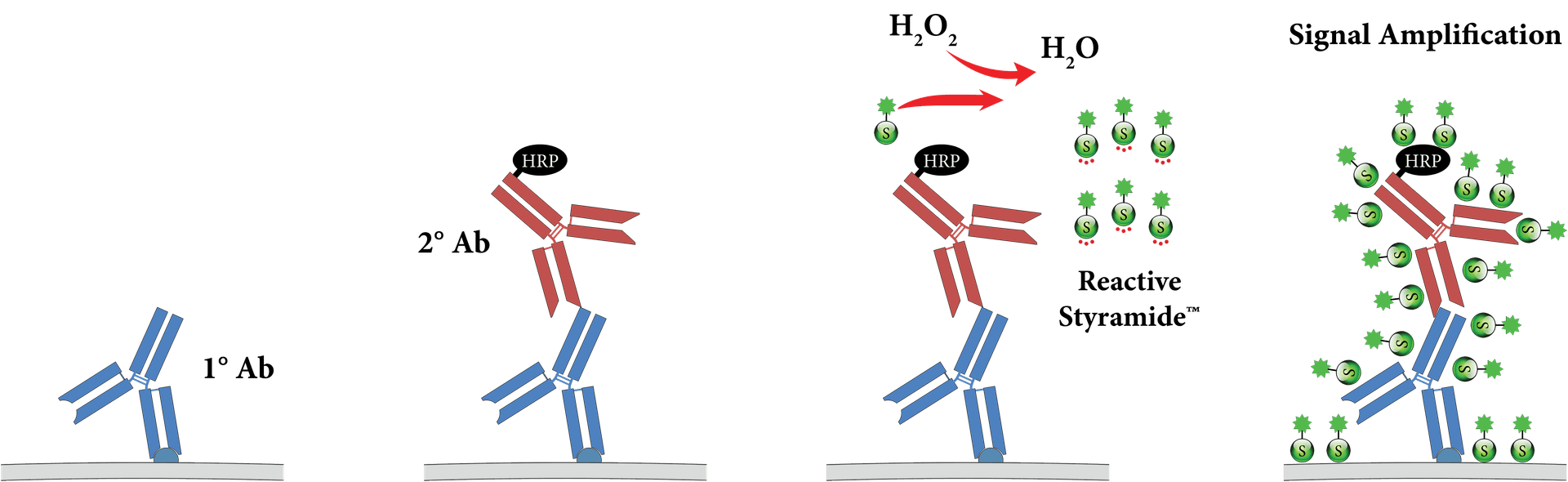 SA workflow illustration