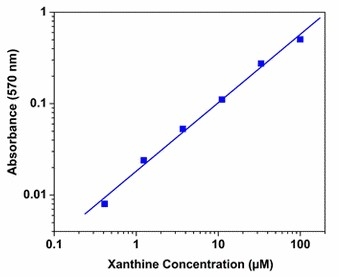 Xanthine dose responses