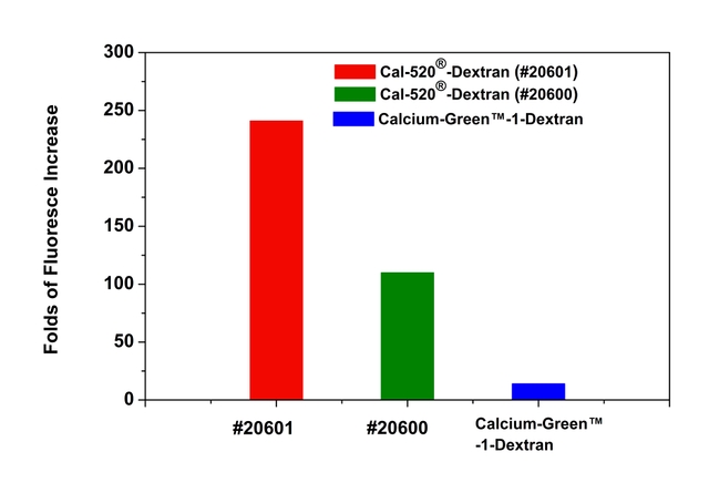 Fluorescence intensity increase of Cal-520<sup>®</sup> -Dextran