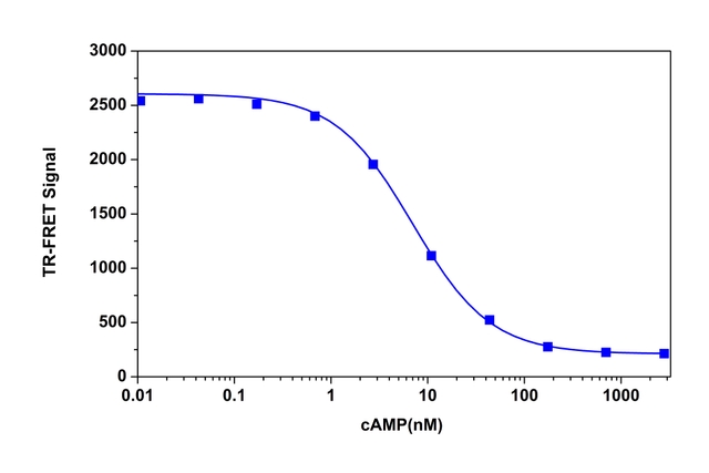 cAMP dose responses were measured with Screen Quest™ FRET No Wash cAMP Assay Kit