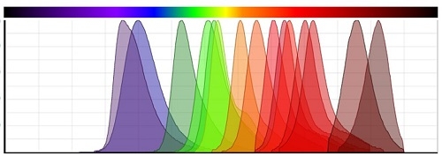 Emission spectra of iFluor<sup>®</sup> product series