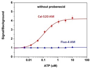 ATP-stimulated calcium responses of endogenous P2Y receptors in CHO-K1 cells