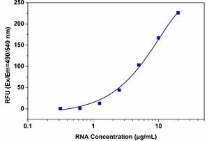 RNA dose response with StrandBrite™ Green Fluorimetric RNA Qutantitation Kit *High Selectivity*