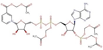 NAADP-AM