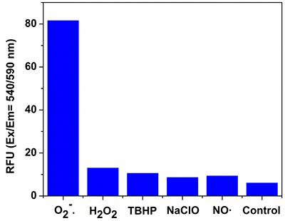 Fluorescence response of MitoROS 580