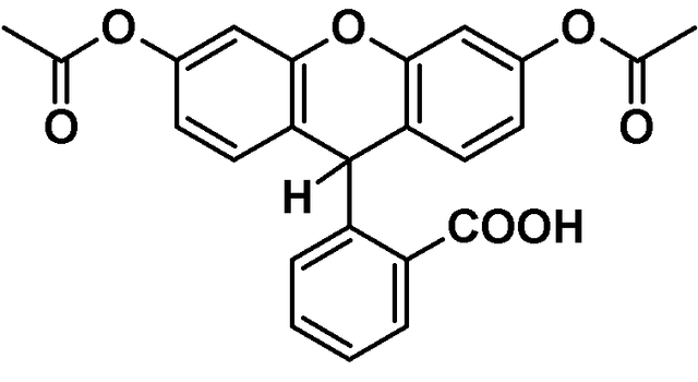 chemical structure of Dihydrofluorescein Diacetate