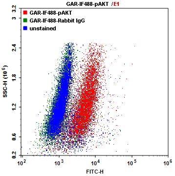 dot plot of Jurkat cells