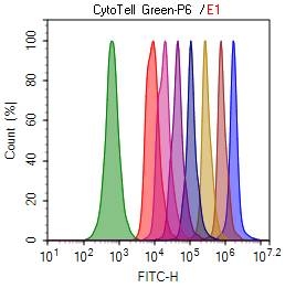 Cell tracking assay with CytoTell™ Green