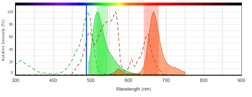 spectrum of iFluor<sup>®</sup> 488