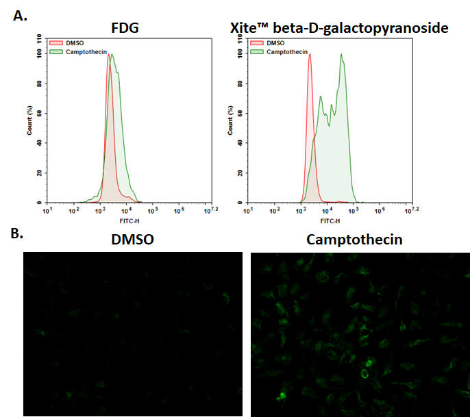 Drug Response Data