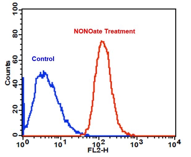 Detection of exogenous nitric oxide (NO) in Jurkat cells