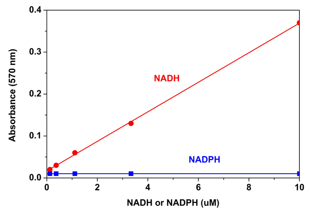 NADH Dose Response