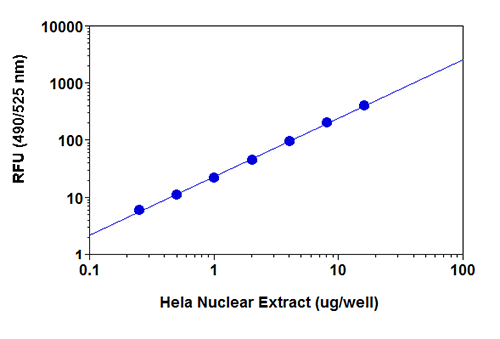 HDAC Activity Detection in HeLa Nuclear Extract