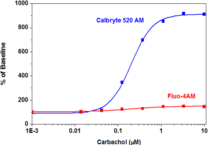 Calcium Response in CHO-M1