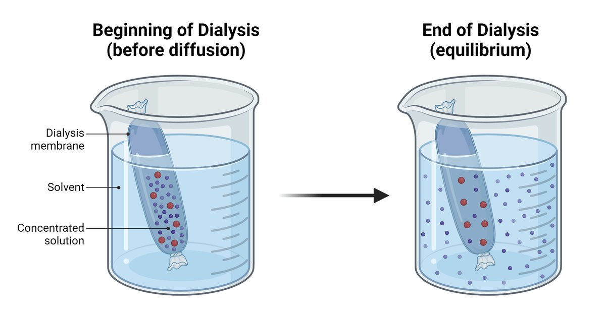 dialysis principle