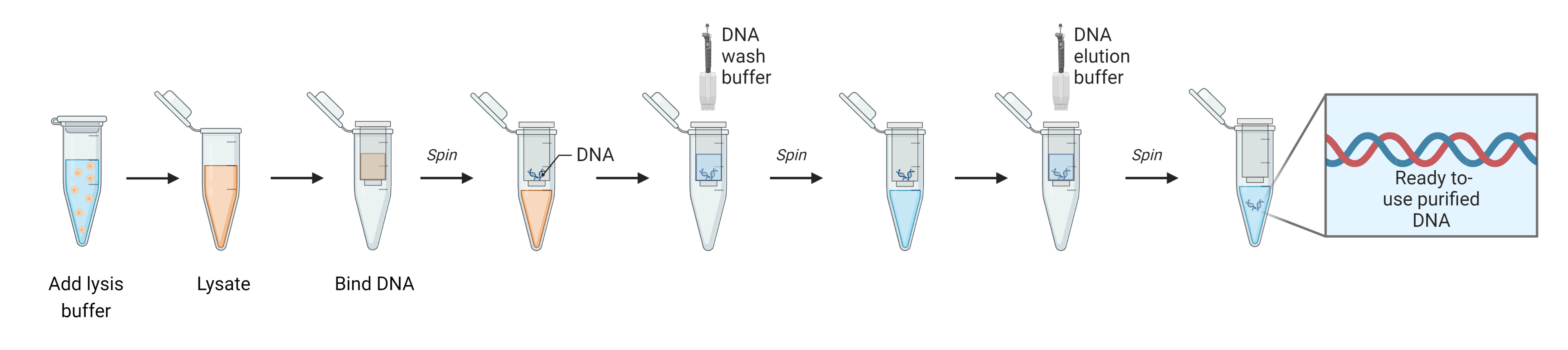 Solid-phase DNA extraction workflow