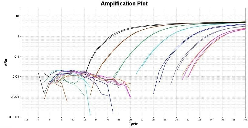 Quantitative PCR results targeting GAPDH