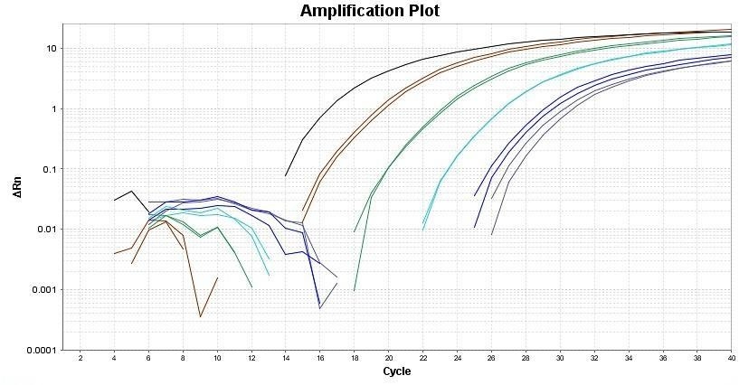 Quantitative PCR results