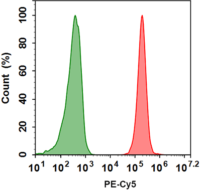 BuccutitePE-Cy5