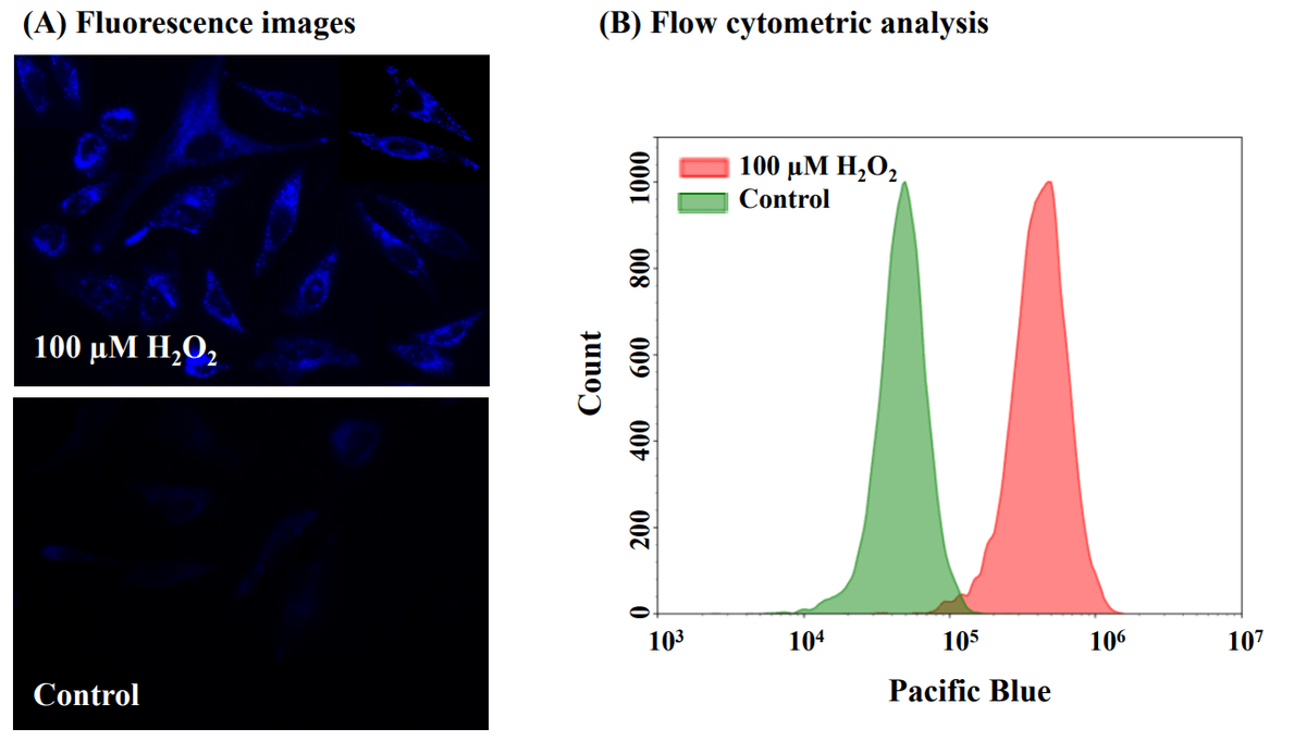 Mito H2o2 Detection of Reactive Oxygen Species (ROS) in Live Cell Mitochondria ...
